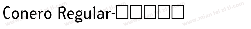 Conero Regular字体转换